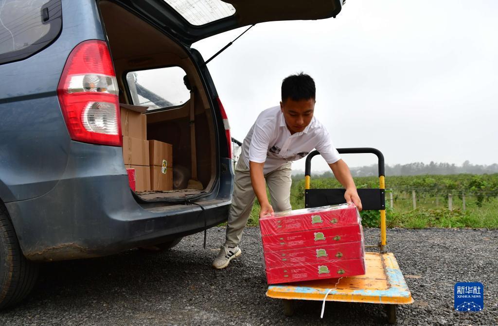 大富豪电玩城app下载